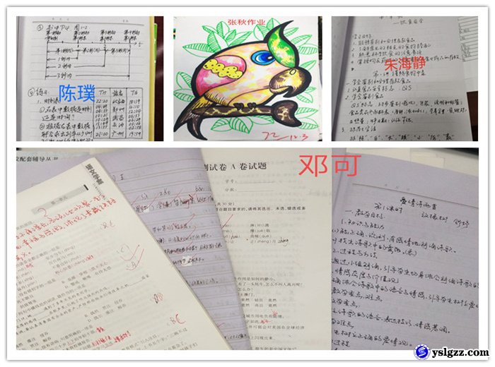 教案作业大检查  常规教学严把关