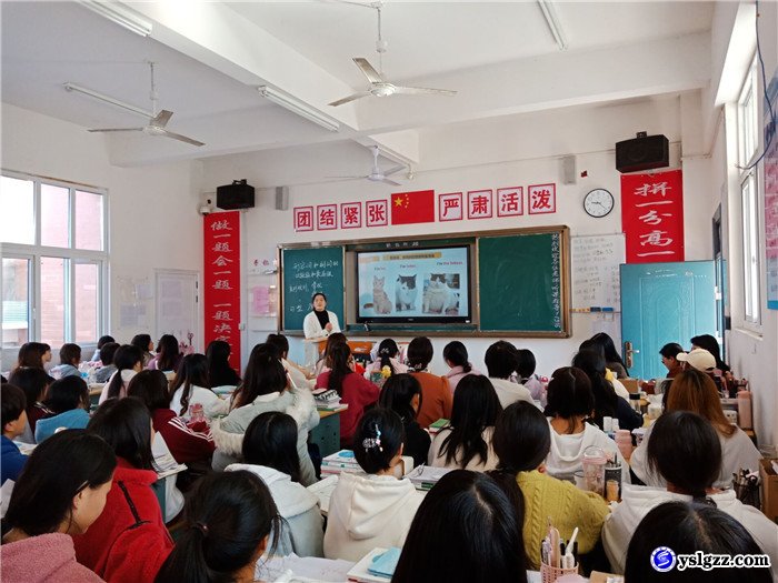 听课评课促成长  齐心协力抓教研