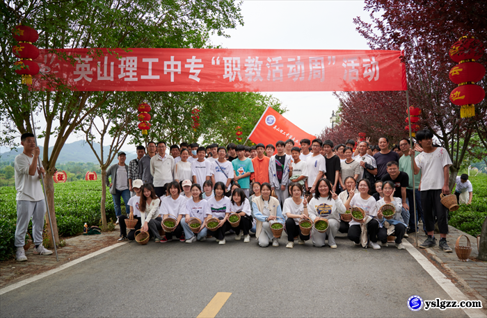 采茶制茶初体验  学农助农乐陶陶