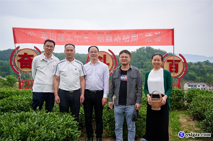 采茶制茶初体验  学农助农乐陶陶