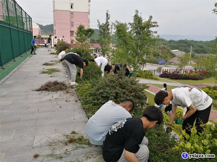 劳动砺心智  除草美校园