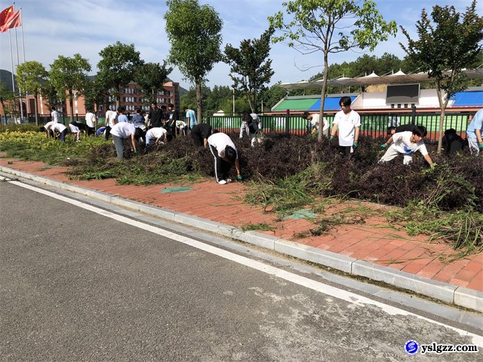 劳动砺心智  除草美校园