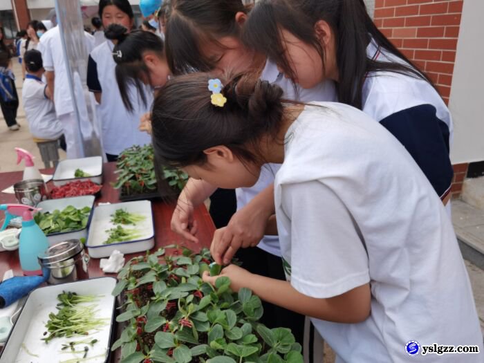 英山理工中专“职教活动周”精彩纷呈