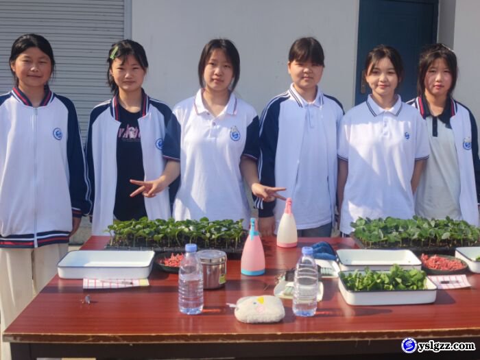 校园开放日,专业实训展示这样做