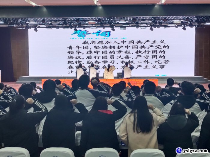 我校团委组织召开2023年度组织生活会