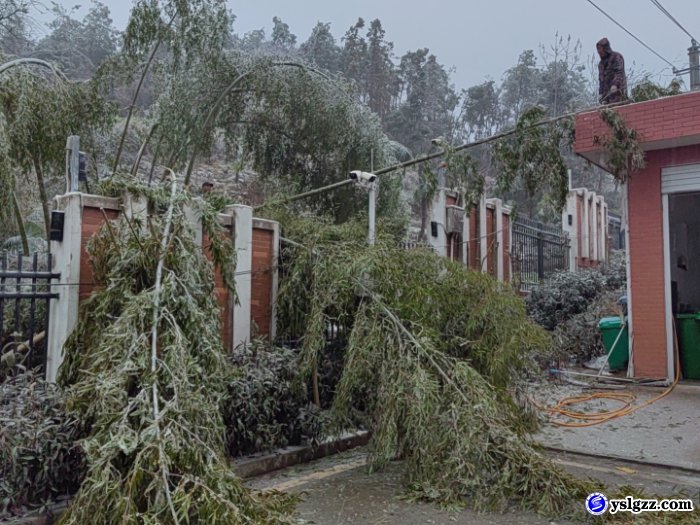 迎战低温雨雪冰冻天气，英山理工中专在行动