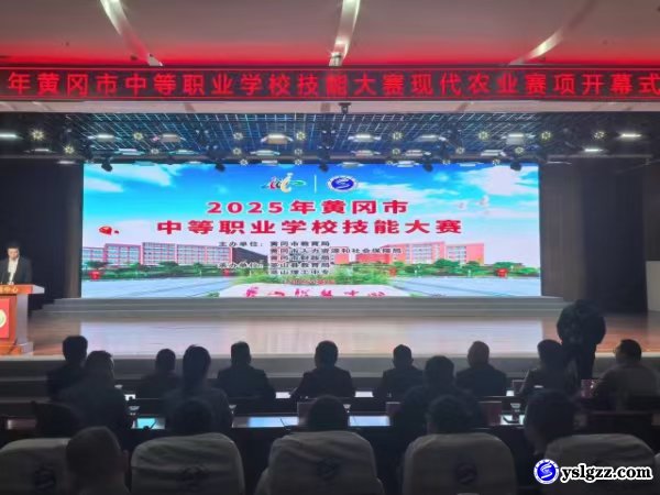 技能大赛展风采 匠心筑梦向未来