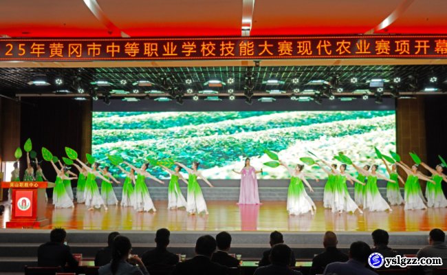 技能大赛展风采 匠心筑梦向未来