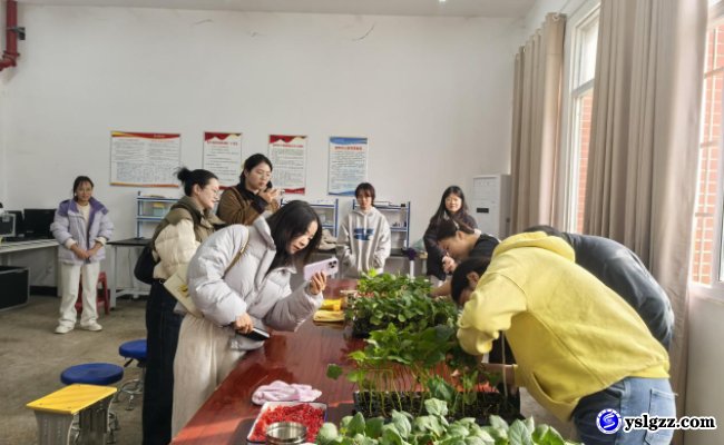 校际协作共研农教 专业赋能高质量发展