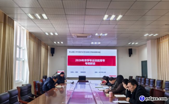 深耕教研促提升 赋能课堂谋新篇