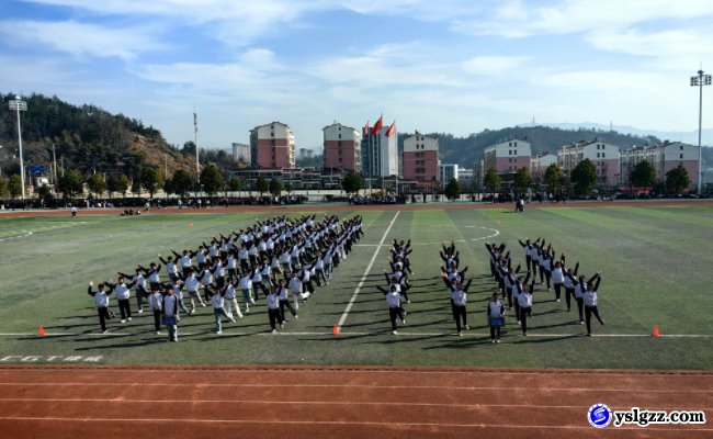 青春飞扬,拼搏赛场