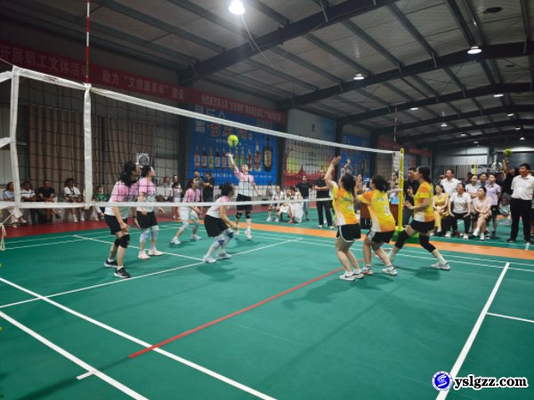 巾帼驰骋赛场 排球续写荣光