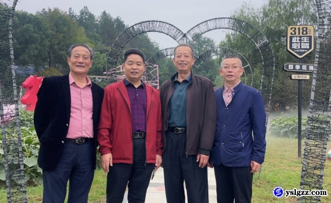 花海寻秋意 情暖敬老情